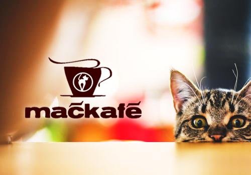 Mačkafé