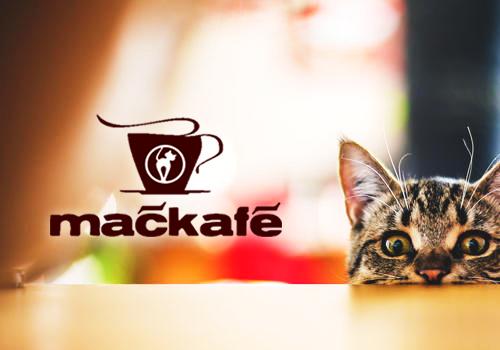 Mačkafé